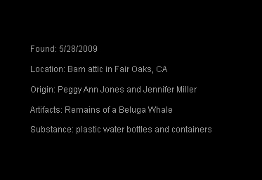 text about baluga find