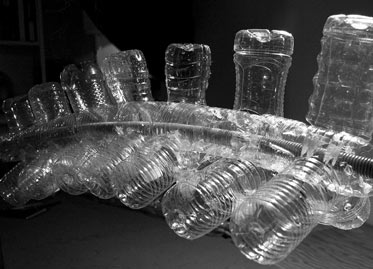 vertebrae