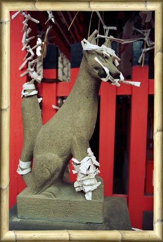 Inari (fox) and Fortunene