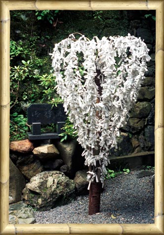Heart Tree Structure and Fortunes