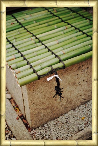 Bamboo Cover